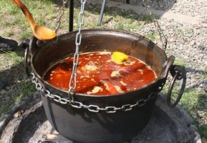 Mancare_Expo Fishing Mania